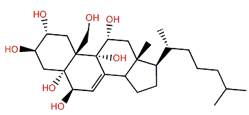 Cholest-7-en-2a,3b,5a,6b,9a,11a,19-heptol