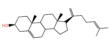 Cholesta-5,20,24-trien-3b-ol