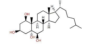 Cholestane-1b,3b,5a,6b-tetraol