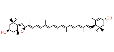 5,8-Epoxy-5,8-dihydro-beta,epsilon-carotene-3,3'-diol