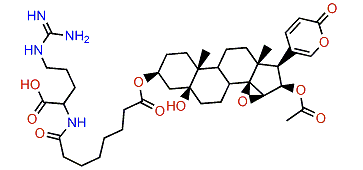 3-(N-Suberoyl argininyl)-cinobufotalin