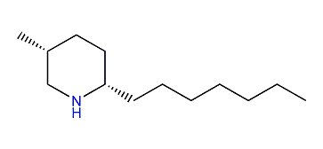 (2R,5S)-2-Heptyl-5-methylpiperidine
