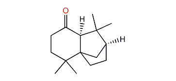 cis-isolongifolanone
