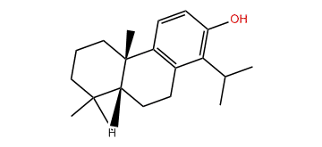 cis-14-Isopropylpodocarpa-8,11,13-trien-13-ol