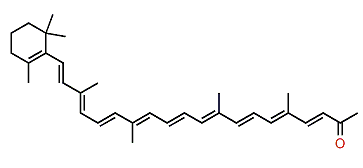 5',6'-Dihydro-5'-apo-18'-nor-beta,psi-caroten-6'-one