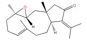 (3R,4R,7E)-3,4-Epoxy-7,12(18)-dolabelladien-13-one