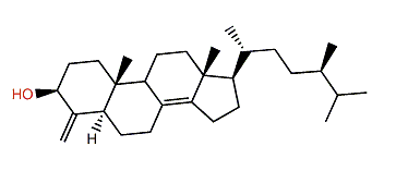 24-Methyl-4-methylenecholest-8(14)-en-3-ol