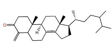24-Methyl-4-methylenecholest-8(14)-en-3-one