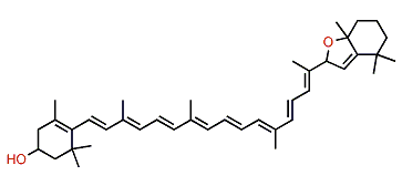 5,8-Epoxy-5,8-dihydro-beta,beta-caroten-3-ol