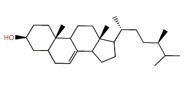 delta7-Sitosterol