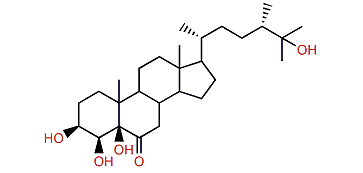 (24S)-24-Methylcholestane-3b,4b,5b,25-tetrol-6-one