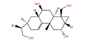 15-Bromo-2,7,16,19-tetrahydroxy-9(11)-parguerene