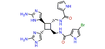 Debromosceptrine