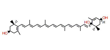 Deepoxysalmoxanthin