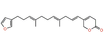 Dehydrofurodendin