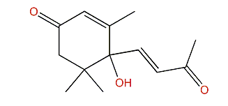Dehydrovomifoliol