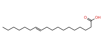 11-Octadecenoic acid