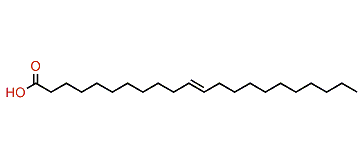 11-Docosenoic acid