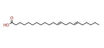 12,16-Docosadienoic acid