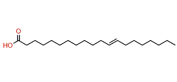12-Eicosenoic acid