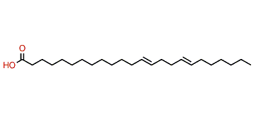 13,17-Tetracosadienoic acid
