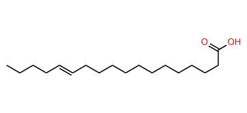 13-Octadecenoic acid