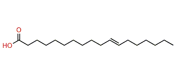 13-Eicosenoic acid