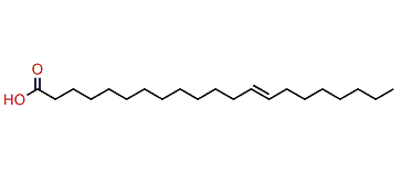 13-Heneicosenoic acid
