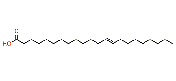 13-Docosenoic acid