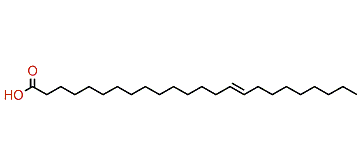 15-Tetracosenoic acid