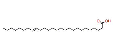18-Hexacosenoic acid
