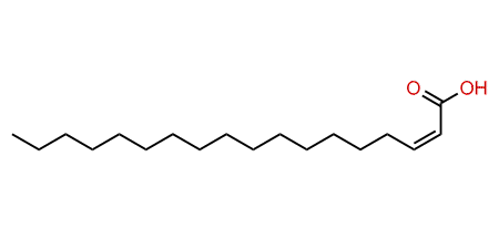 2-Octadecenoic acid