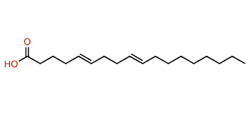 5,9-Octadecadienoic acid