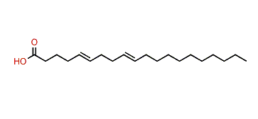 5,9-Eicosadienoic acid