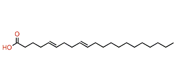 5,9-Heneicosadienoic acid