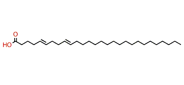 5,9-Octacosadienoic acid