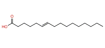 6-Hexadecenoic acid