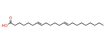 7,13-Docosadienoic acid