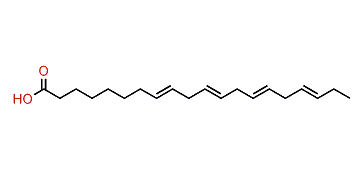 8,11,14,17-Eicosatetraenoic acid