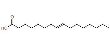 8-Hexadecenoic acid