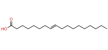 8-Octadecenoic acid