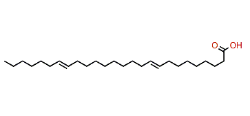 9,19-Hexacosadienoic acid
