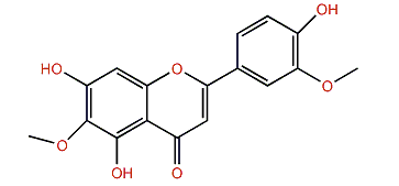 5,7,3'-Trihydroxy-6,4'-dimethoxyflavone