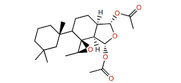 Dendrillin