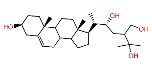 (R)-24-Methylcholest-5-en-3b,22,25,28-tetrol