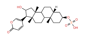 Desacetylbufotalin-3-O-sulfite