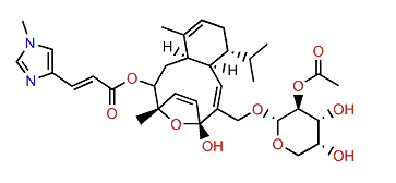 Desmethyleleutherobin