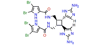 Dibromosceptrine