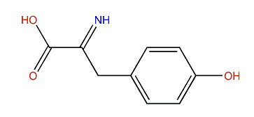 N-Didehydrotyrosine