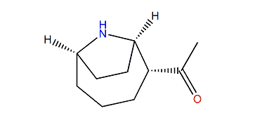 (1R,6R)-2,3-Dihydro-2b-acetyl-9-azabicyclo-4.2.1-non-2-ene